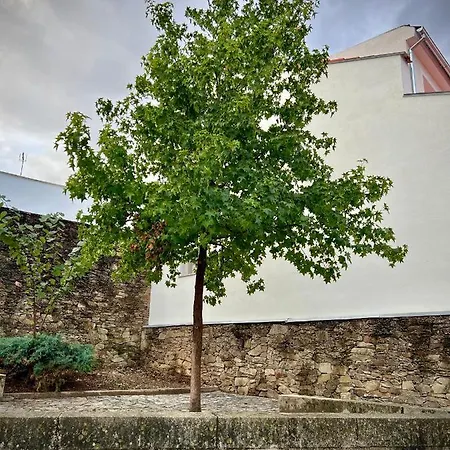 Cantinho Do Castelo Apartment