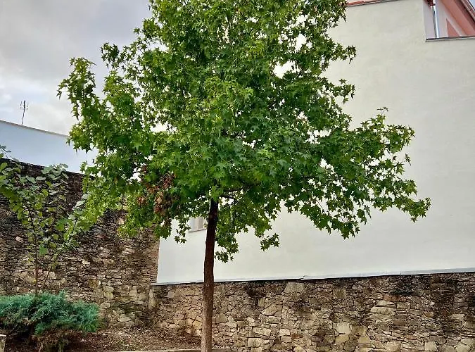 Cantinho Do Castelo Appartement